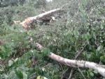 Peel Holdings Destruction at Birchfield Salford 